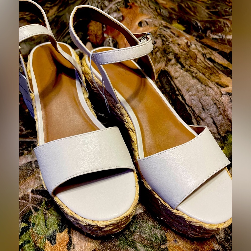 Universal Thread Wedges